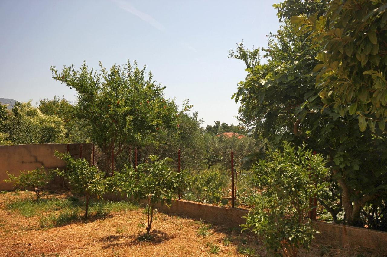 Apartments And Rooms With Parking Space Orebic, Peljesac - 10191 Екстер'єр фото